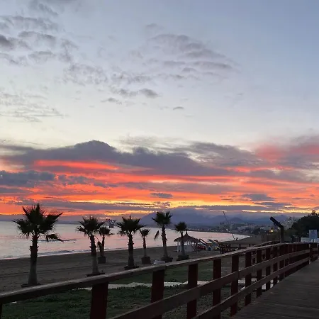 With Tropical Garden And Sea Water Pool *