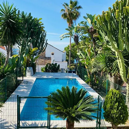 With Tropical Garden And Sea Water Pool *