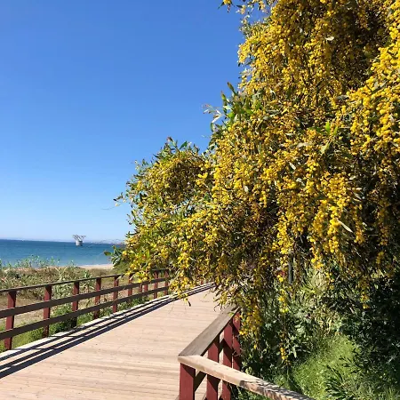 דירה With Tropical Garden And Sea Water Pool