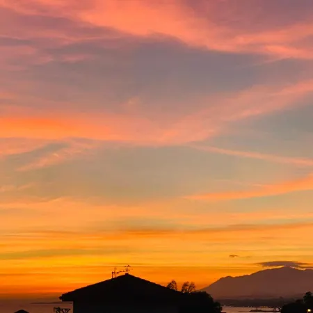 With Tropical Garden And Sea Water Pool