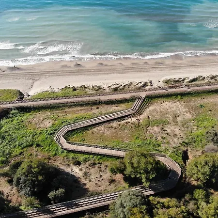 With Tropical Garden And Sea Water Pool *