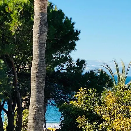 With Tropical Garden And Sea Water Pool