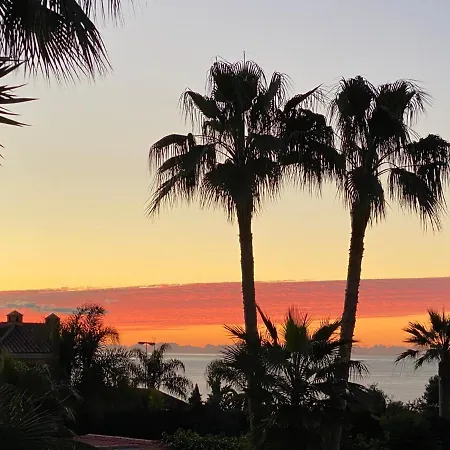 With Tropical Garden And Sea Water Pool *