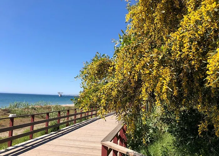 Appartamento With Tropical Garden And Sea Water Pool