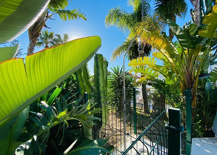 With Tropical Garden And Sea Water Pool Marbella