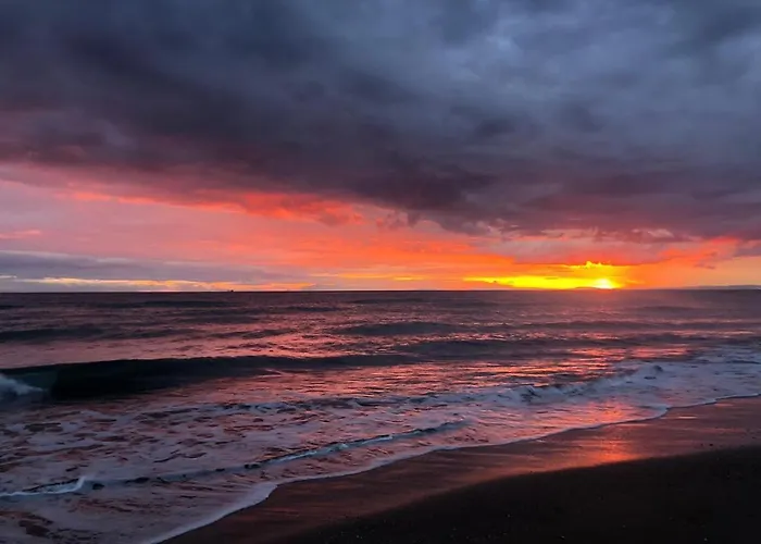 Appartamento With Tropical Garden And Sea Water Pool *