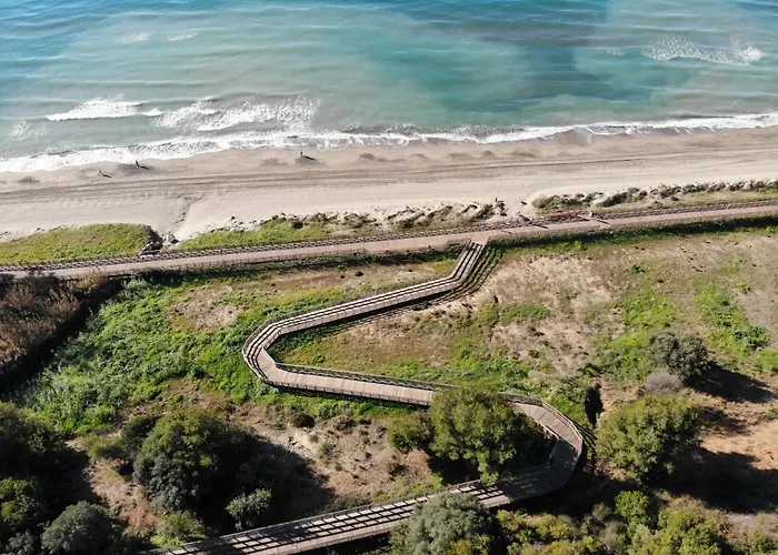 With Tropical Garden And Sea Water Pool *