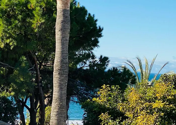 With Tropical Garden And Sea Water Pool