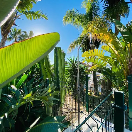 With Tropical Garden And Sea Water Pool Marbella