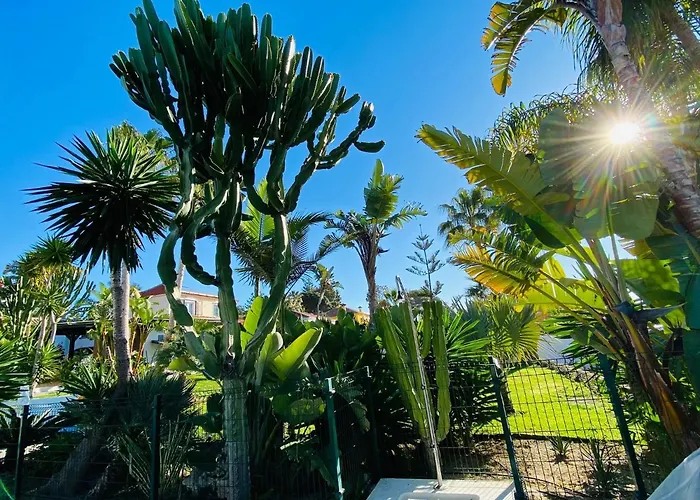 With Tropical Garden And Sea Water Pool Apartament Marbella