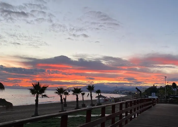 With Tropical Garden And Sea Water Pool *